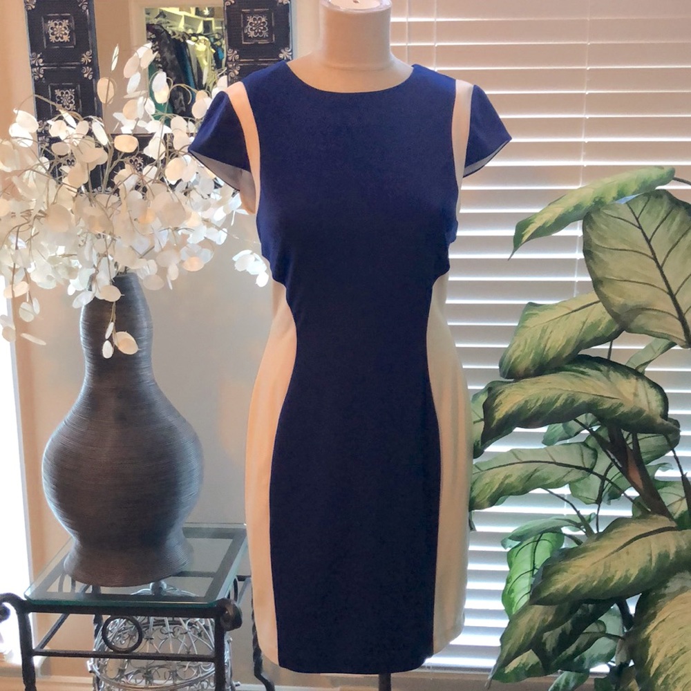 Two-tone, short-sleeved ladies dress